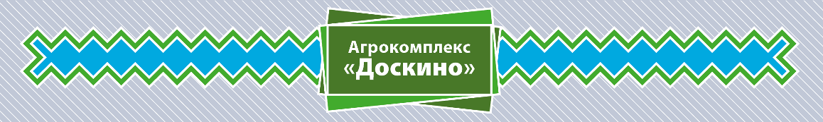 ak-doskino.ru